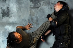 Fighting Mad Dog is not recommended...
